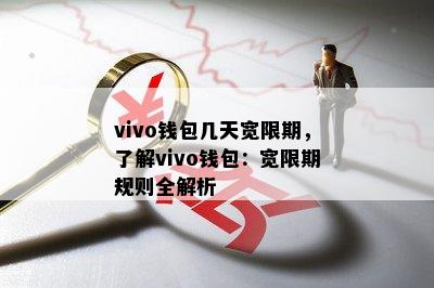 vivo钱包几天宽限期，了解vivo钱包：宽限期规则全解析