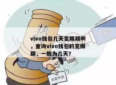 vivo钱包几天宽限期啊，查询vivo钱包的宽限期，一般为几天？