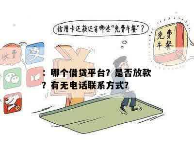 ：哪个借贷平台？是否放款？有无电话联系方式？