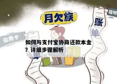 如何与支付宝协商还款本金？详细步骤解析