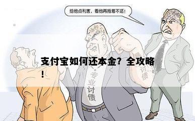 支付宝如何还本金？全攻略！