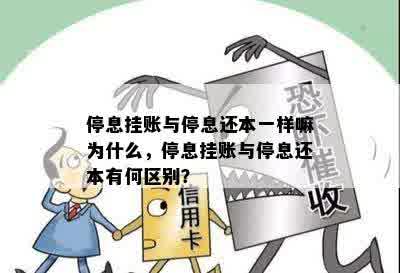 停息挂账与停息还本一样嘛为什么，停息挂账与停息还本有何区别？