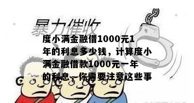 度小满金融借1000元1年的利息多少钱，计算度小满金融借款1000元一年的利息，你需要注意这些事