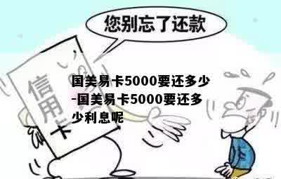 国美易卡5000要还多少-国美易卡5000要还多少利息呢