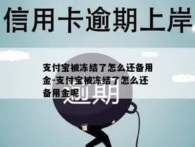 支付宝被冻结了怎么还备用金-支付宝被冻结了怎么还备用金呢