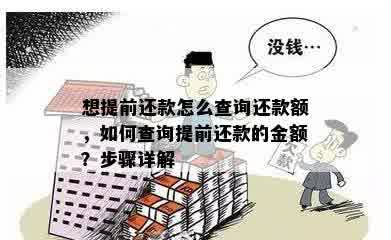 想提前还款怎么查询还款额，如何查询提前还款的金额？步骤详解