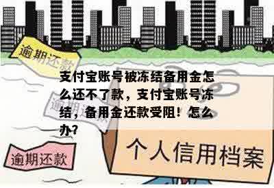 支付宝账号被冻结备用金怎么还不了款，支付宝账号冻结，备用金还款受阻！怎么办？