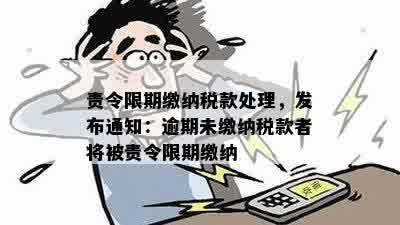 责令限期缴纳税款处理，发布通知：逾期未缴纳税款者将被责令限期缴纳