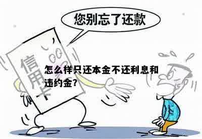 怎么样只还本金不还利息和违约金？