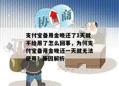 支付宝备用金晚还了1天就不给用了怎么回事，为何支付宝备用金晚还一天就无法使用？原因解析