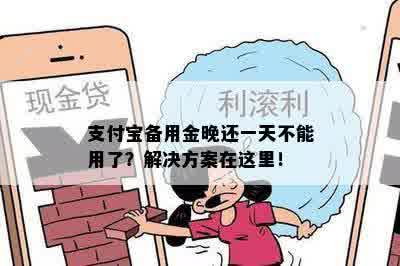 支付宝备用金晚还一天不能用了？解决方案在这里！