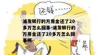 浦发银行的万用金还了20多万怎么回事-浦发银行的万用金还了20多万怎么回事啊