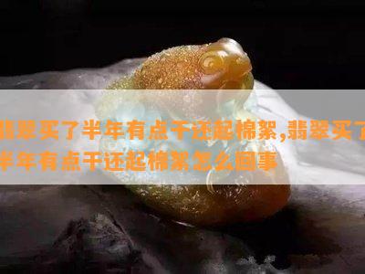 翡翠买了半年有点干还起棉絮,翡翠买了半年有点干还起棉絮怎么回事