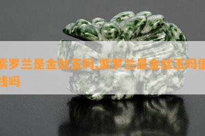 紫罗兰是金丝玉吗,紫罗兰是金丝玉吗值钱吗