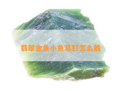 翡翠金鱼小鱼耳钉怎么戴