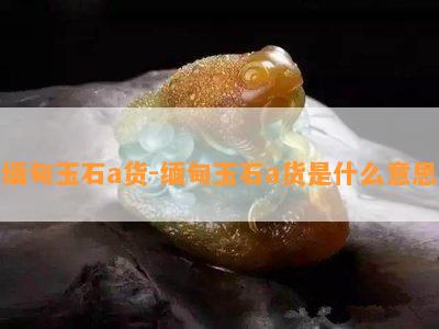 缅甸玉石a货-缅甸玉石a货是什么意思