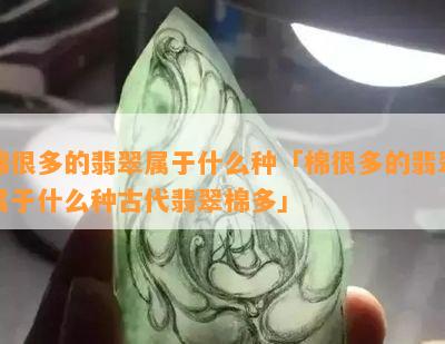 棉很多的翡翠属于什么种「棉很多的翡翠属于什么种古代翡翠棉多」