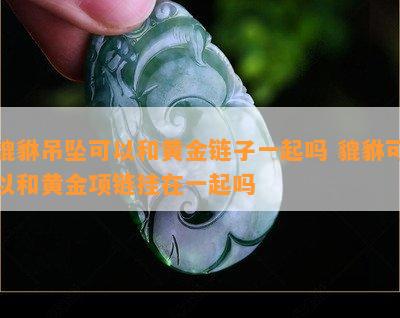 貔貅吊坠可以和黄金链子一起吗 貔貅可以和黄金项链挂在一起吗