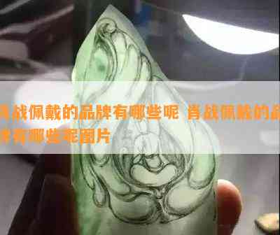 肖战佩戴的品牌有哪些呢 肖战佩戴的品牌有哪些呢图片