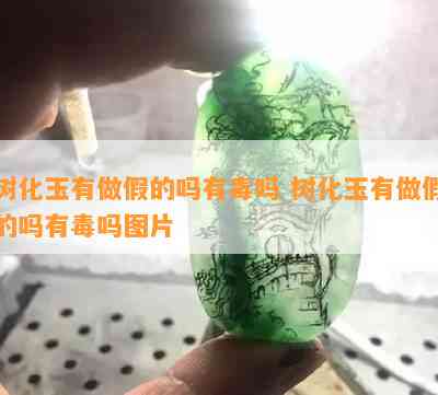 树化玉有做假的吗有吗 树化玉有做假的吗有吗图片