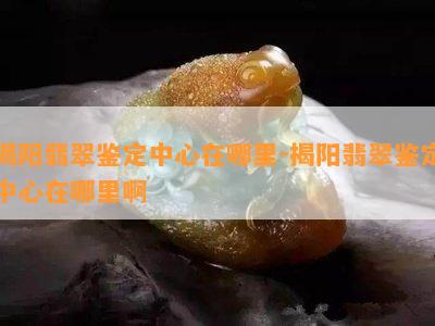 揭阳翡翠鉴定中心在哪里-揭阳翡翠鉴定中心在哪里啊