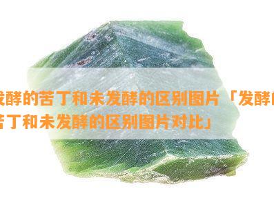 发酵的苦丁和未发酵的区别图片「发酵的苦丁和未发酵的区别图片对比」