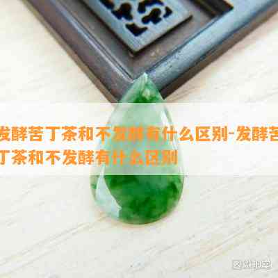 发酵苦丁茶和不发酵有什么区别-发酵苦丁茶和不发酵有什么区别