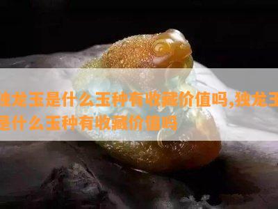 独龙玉是什么玉种有收藏价值吗,独龙玉是什么玉种有收藏价值吗