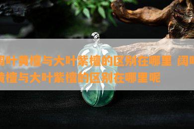 阔叶黄檀与大叶紫檀的区别在哪里 阔叶黄檀与大叶紫檀的区别在哪里呢