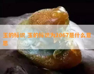 玉的标识 玉的标识为2067是什么意思