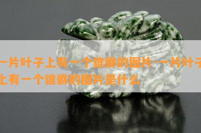 一片叶子上有一个貔貅的图片-一片叶子上有一个貔貅的图片是什么