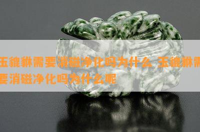 玉貔貅需要消磁净化吗为什么 玉貔貅需要消磁净化吗为什么呢