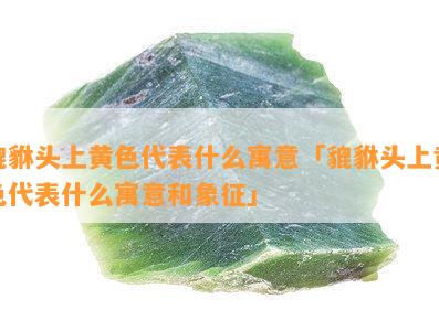 貔貅头上黄色代表什么寓意「貔貅头上黄色代表什么寓意和象征」