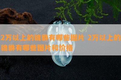 2万以上的貔貅有哪些图片 2万以上的貔貅有哪些图片和价格