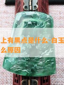 白玉菩提上有黑点是什么-白玉菩提上有黑点是什么原因