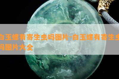 白玉螺有寄生虫吗图片-白玉螺有寄生虫吗图片大全