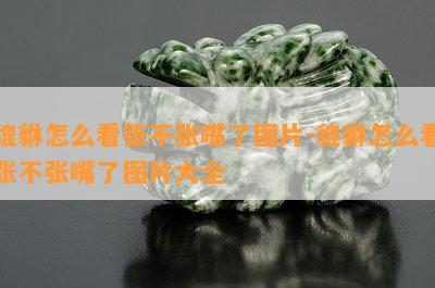 貔貅怎么看张不张嘴了图片-貔貅怎么看张不张嘴了图片大全