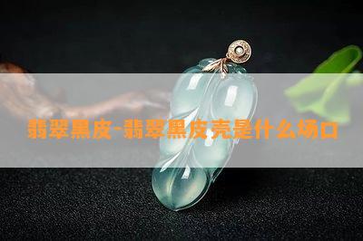 翡翠黑皮-翡翠黑皮壳是什么场口