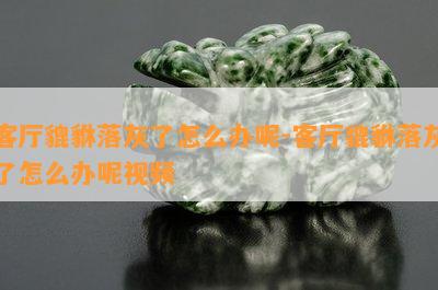 客厅貔貅落灰了怎么办呢-客厅貔貅落灰了怎么办呢视频