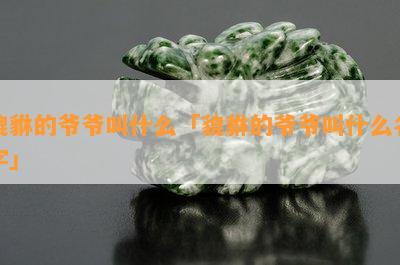 貔貅的爷爷叫什么「貔貅的爷爷叫什么名字」