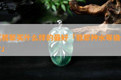 买翡翠买什么样的更好「翡翠种水等级划分」