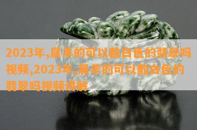 2023年,属羊的可以戴白色的翡翠吗视频,2023年,属羊的可以戴白色的翡翠吗视频讲解