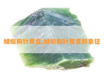 蜻蜓胸针寓意,蜻蜓胸针寓意和象征