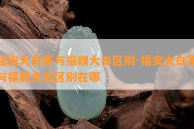 福安大白茶与福鼎大白区别-福安大白茶与福鼎大白区别在哪