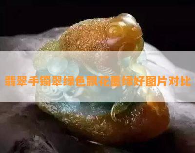 翡翠手镯翠绿色飘花墨绿好图片对比