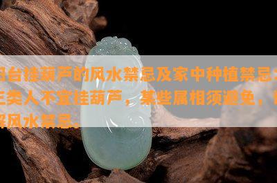 阳台挂葫芦的风水禁忌及家中种植禁忌：三类人不宜挂葫芦，某些属相须避免，详解风水禁忌。