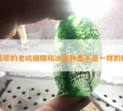 翡翠的老坑细糯和冰糯种是不是一样的种