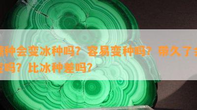 糯种会变冰种吗？容易变种吗？带久了会变吗？比冰种差吗？