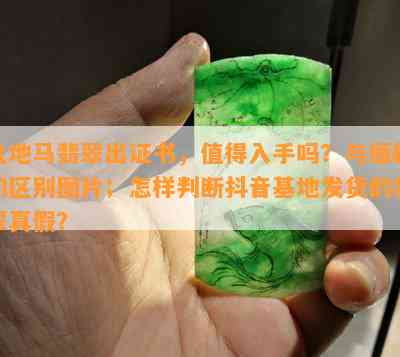 危地马翡翠出证书，值得入手吗？与缅料的区别图片；怎样判断抖音基地发货的翡翠真假？