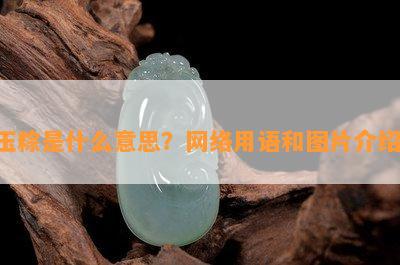 玉粽是什么意思？网络用语和图片介绍！